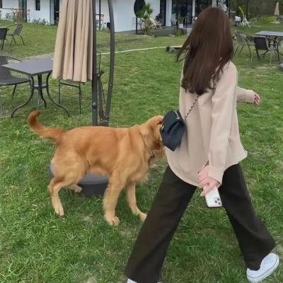 四个女人的故事